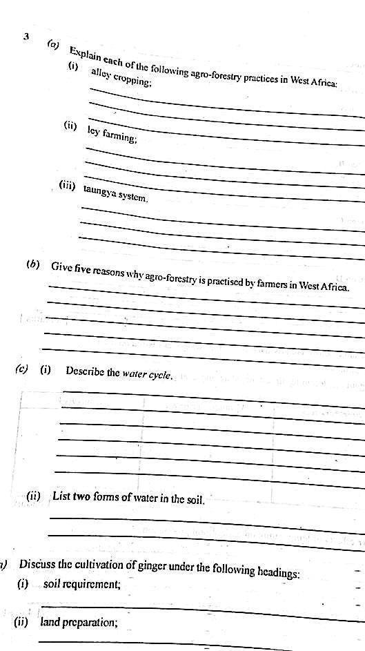 Answer Sheet  - Image 2