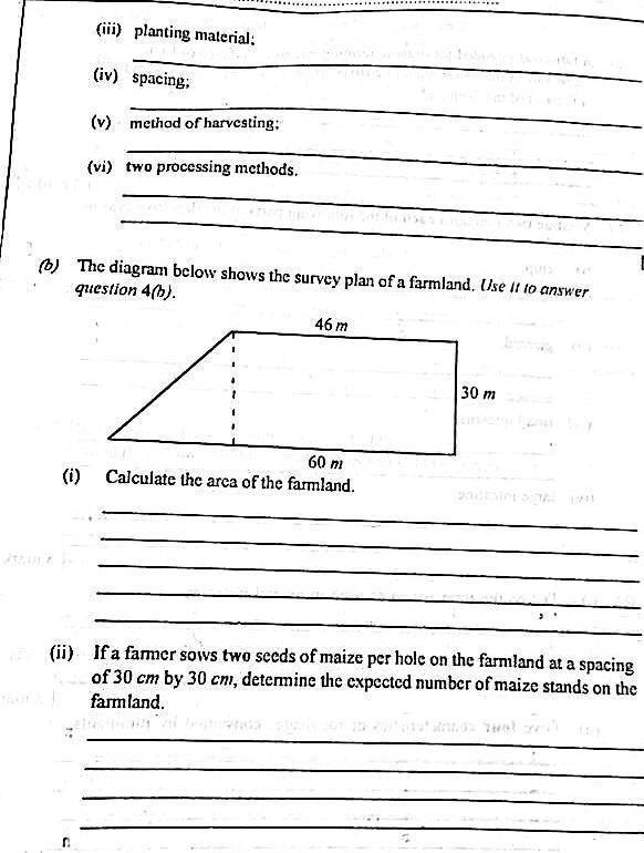 Answer Sheet  - Image 5