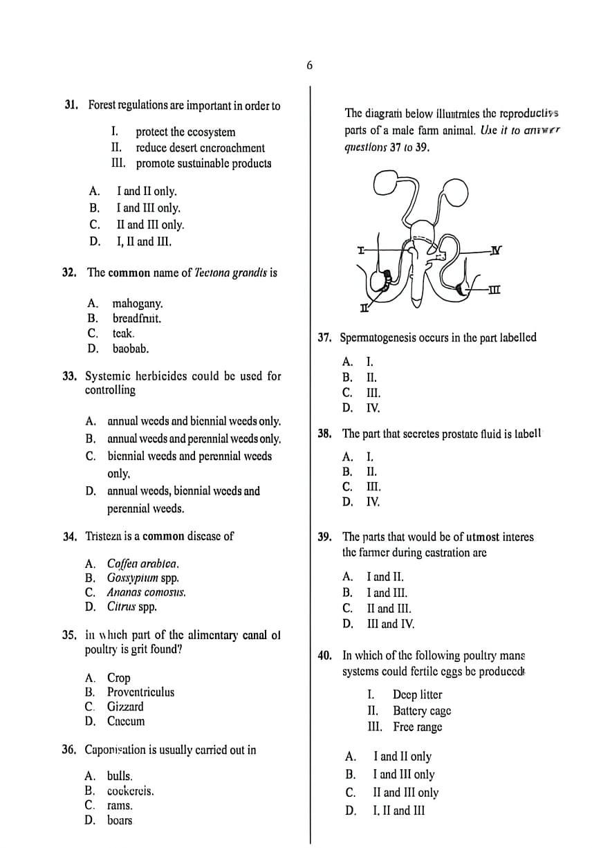 Answer Sheet  - Image 6