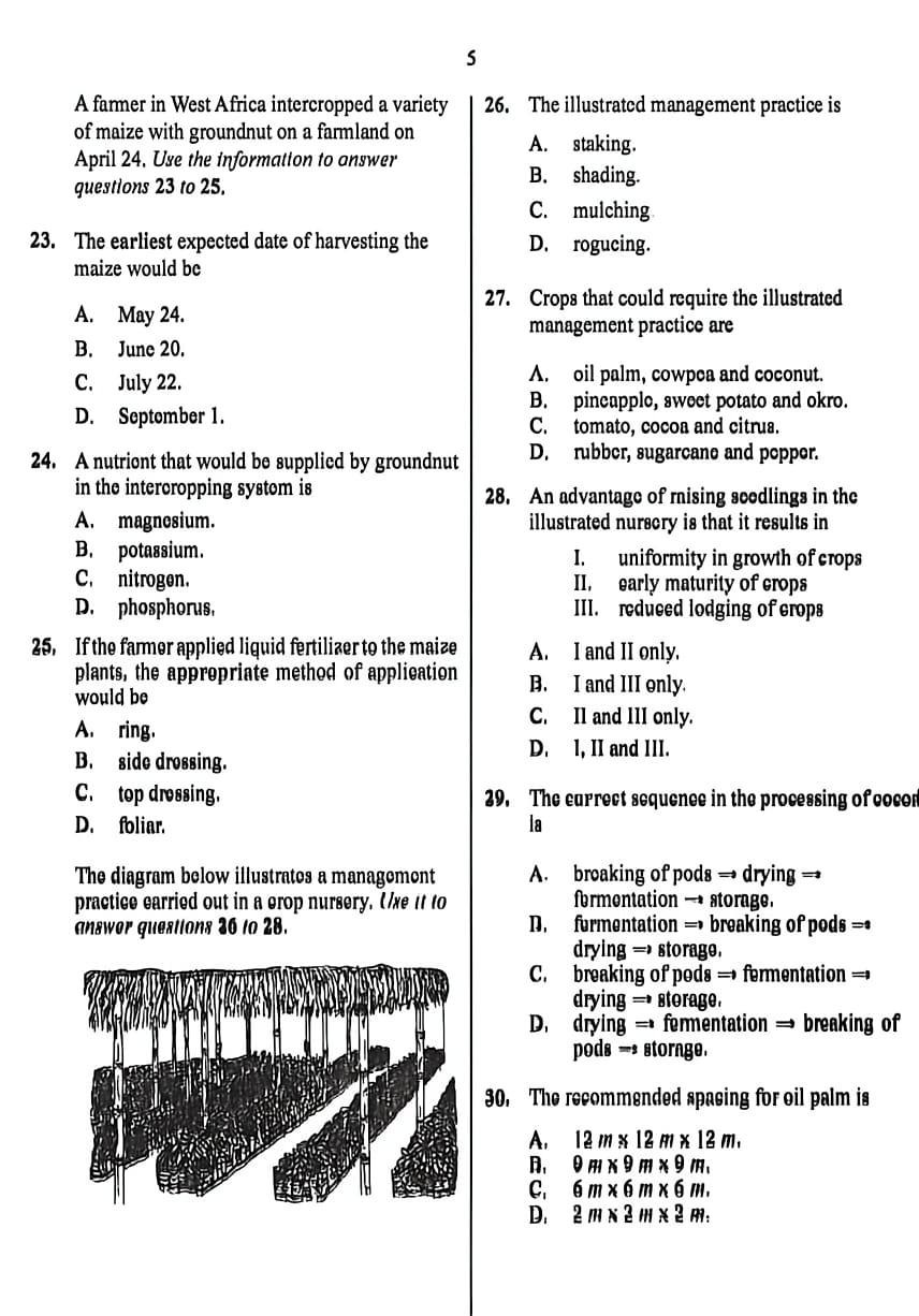 Answer Sheet  - Image 12
